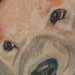 tattoo galleries/ - untitled